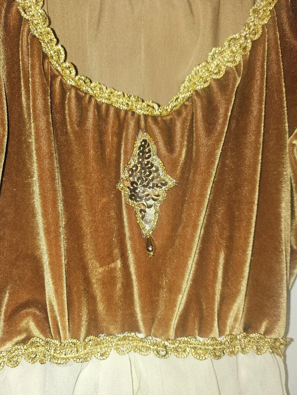 Halloween Classic Princess Velvet Dress Costume in Brown and Cream